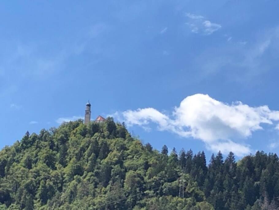 Holiday Guesthouse La Casina Di Butzi Pet Friendly - Terme Di Arta - Zoncolan Arta Terme Esterno foto