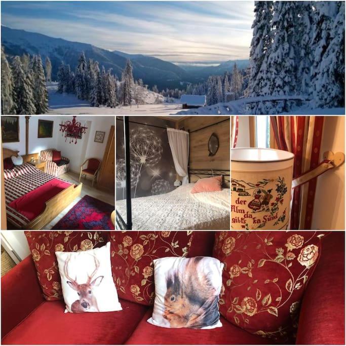 Holiday Guesthouse La Casina Di Butzi Pet Friendly - Terme Di Arta - Zoncolan Arta Terme Esterno foto
