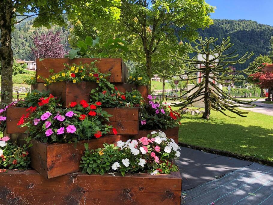 Holiday Guesthouse La Casina Di Butzi Pet Friendly - Terme Di Arta - Zoncolan Arta Terme Esterno foto