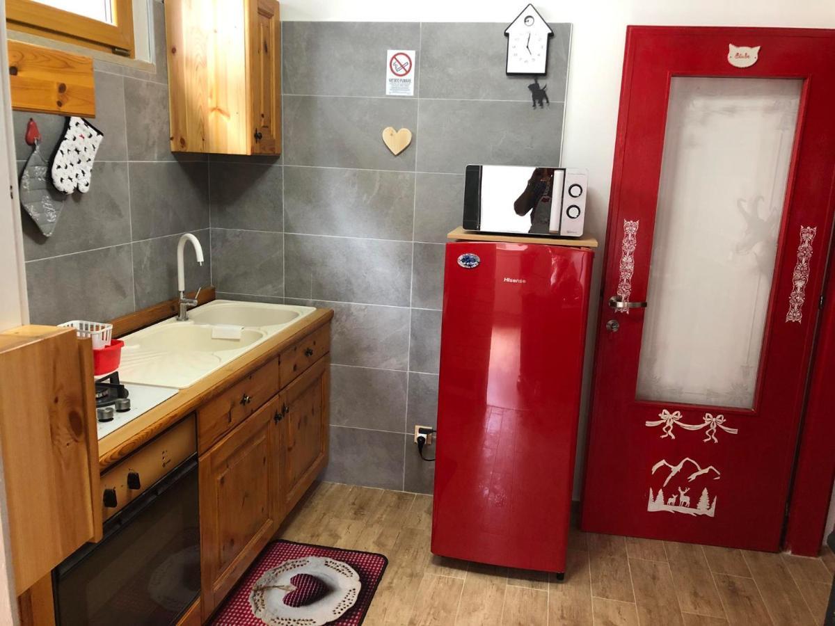 Holiday Guesthouse La Casina Di Butzi Pet Friendly - Terme Di Arta - Zoncolan Arta Terme Esterno foto