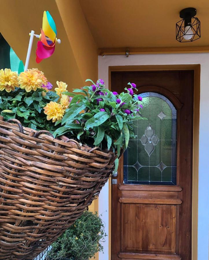 Holiday Guesthouse La Casina Di Butzi Pet Friendly - Terme Di Arta - Zoncolan Arta Terme Esterno foto