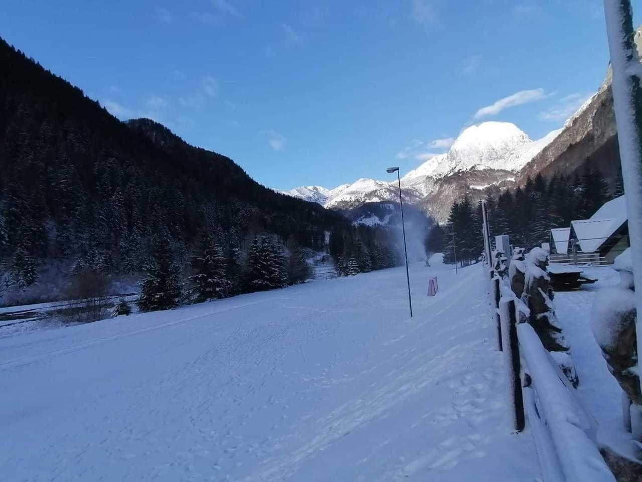Holiday Guesthouse La Casina Di Butzi Pet Friendly - Terme Di Arta - Zoncolan Arta Terme Esterno foto