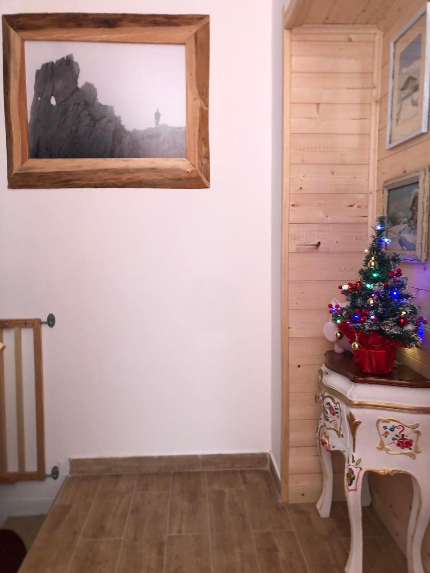 Holiday Guesthouse La Casina Di Butzi Pet Friendly - Terme Di Arta - Zoncolan Arta Terme Esterno foto