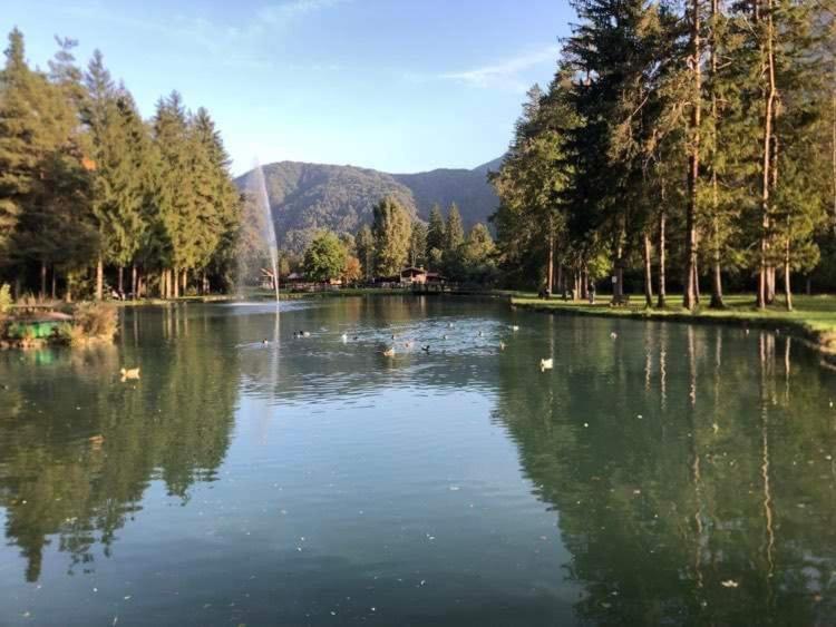 Holiday Guesthouse La Casina Di Butzi Pet Friendly - Terme Di Arta - Zoncolan Arta Terme Esterno foto